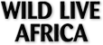 Wild Live Africa